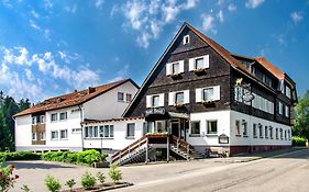 Hotel Hirsch